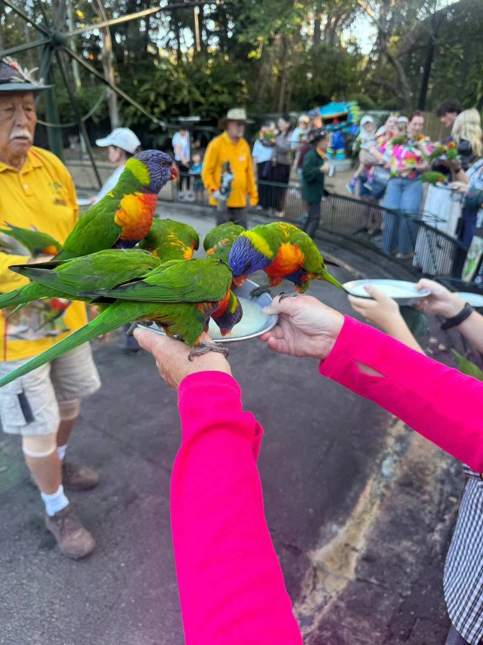 Currumbin Wildlife Sanctuary